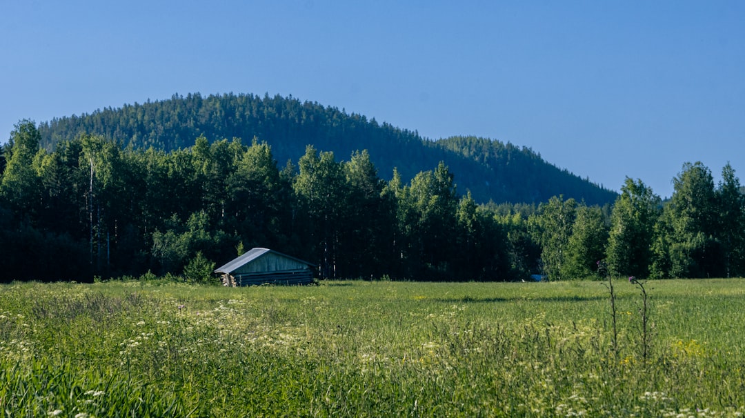 Comprehensive Guide to Health and Wellness for Expats in Finland